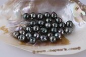 Btahiti1011AA 10-11mm AA Grade Semi-Baroques Circled Black Tahiti loose pearls
