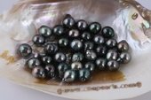 Btahiti1011A 10-11mm Natural Black Baroques Circled Tahiti loose pearls, A Grade