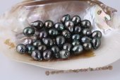Btahiti1112A+ 11-12mm A+ Grade baroque circle Black loose Tahitian pearls, Drop shape