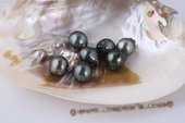 Btahiti1415AAA 14-15mm AAA Grade Circle Baroque Tahitian pearls, Drop shape