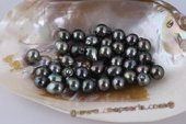 Btahiti0910AA 9-10mm Natural Black Baroques Circled Tahiti loose pearls, AA Grade