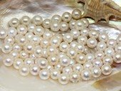 lpb002 50PCS 7-8mm AAA withe round fresh wate loose pearl wholesale