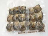 oyster03 279PCS vacuum-packed  pearl oysters with Round pearls in wholesale