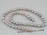 rs03 five strands 6-7mm purple rice-shape pearls wholesale