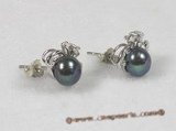 spe070 sterling black breads pearl studs earrings with sterling tray
