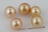 ssp11-12mm Nature  Golden color 11-12mm AA grade south sea loose pearl in wholesale