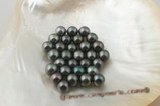 Tahiti8-9aa AA Grade 8-9mm natural black tahitian loose pearls in wholesale