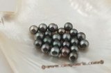 Tahiti8-9b Wholesale 8-9mm natural black tahitian loose pearls, B Grade